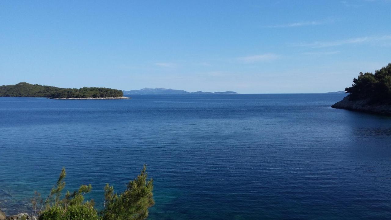 Apartments By The Sea Cove Zaglav, Korcula - 12208 Prižba Zewnętrze zdjęcie